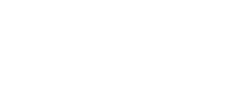 Cariboni Group